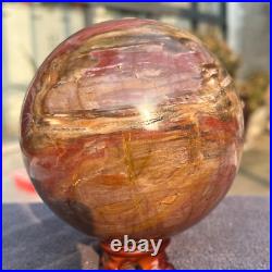 1570g Natural Petrified Wood Fossil Quartz Crystal Sphere Mineral Specimen