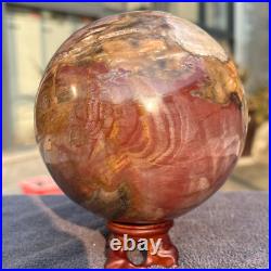 1570g Natural Petrified Wood Fossil Quartz Crystal Sphere Mineral Specimen