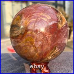 1570g Natural Petrified Wood Fossil Quartz Crystal Sphere Mineral Specimen