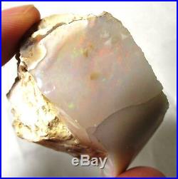 158 ct Opalized wood fossil with fire Virgin Valley opal Denio, NV