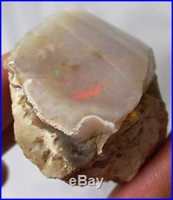 158 ct Opalized wood fossil with fire Virgin Valley opal Denio, NV