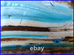 15Kg Super Quality Rare Petrified Wood with Blue Opal AAA Rough Rare Mineral