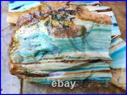 15Kg Super Quality Rare Petrified Wood with Blue Opal AAA Rough Rare Mineral