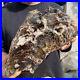 15_2lb_Rare_Natural_petrified_wood_rough_Wood_fossil_mineral_specimen_healing_01_cncl