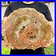 15_49lb_Large_Block_Natural_Petrified_Wood_Crystal_Fossil_Slice_Shape_Specimen_01_ks