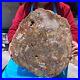 15_68LB_Large_Natural_Petrified_Wood_Crystal_Fossil_Slice_Shape_Specimen_Healing_01_otk