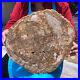 15_68LB_Natural_Petrified_Wood_Crystal_Fossil_Slice_Shape_Specimen_Healing_01_om