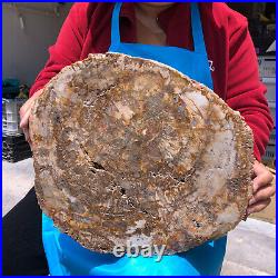 15.68LB Natural Petrified Wood Fossil Crystal Polished Slice Madagascar 1121