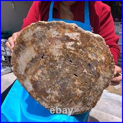 15.68LB Natural Petrified Wood Fossil Crystal Polished Slice- Madagascar