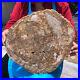 15_68LB_Natural_Petrified_Wood_Slab_Fossilized_Wood_Slice_Crystal_Gem_Specimen_01_urzy