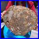 15_68LB_Natural_Petrified_Wood_Slice_Real_Authentic_Piece_History_Fossil_1121_01_nex
