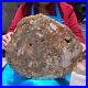 15_68LB_Natural_Petrified_Wood_Slice_Real_Authentic_Piece_History_Fossil_660_01_hn