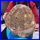 15_68LB_Natural_petrified_wood_fossil_crystal_polished_slice_Madagascar_1121_01_xm
