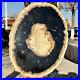 15_6LB_Large_Natural_Petrified_Wood_Crystal_Fossil_Slice_Shape_Specimen_Healing_01_ool