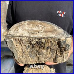 15.6lb Rare Natural petrified wood rough Wood fossil mineral specimen healing 15.6lb Rare Natural petrified wood rough Wood fossil mineral specimen healing