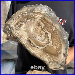 15.6lb Rare Natural petrified wood rough Wood fossil mineral specimen healing 15.6lb Rare Natural petrified wood rough Wood fossil mineral specimen healing