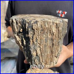 15.6lb Rare Natural petrified wood rough Wood fossil mineral specimen healing 15.6lb Rare Natural petrified wood rough Wood fossil mineral specimen healing
