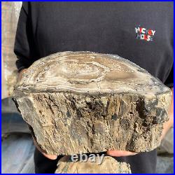 15.6lb Rare Natural petrified wood rough Wood fossil mineral specimen healing 15.6lb Rare Natural petrified wood rough Wood fossil mineral specimen healing
