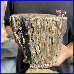 15.6lb Rare Natural petrified wood rough Wood fossil mineral specimen healing 15.6lb Rare Natural petrified wood rough Wood fossil mineral specimen healing