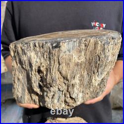 15.6lb Rare Natural petrified wood rough Wood fossil mineral specimen healing 15.6lb Rare Natural petrified wood rough Wood fossil mineral specimen healing