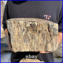 15.6lb Rare Natural petrified wood rough Wood fossil mineral specimen healing 15.6lb Rare Natural petrified wood rough Wood fossil mineral specimen healing
