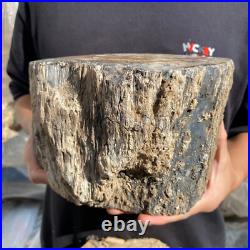 15.6lb Rare Natural petrified wood rough Wood fossil mineral specimen healing 15.6lb Rare Natural petrified wood rough Wood fossil mineral specimen healing