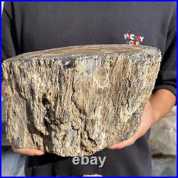 15.6lb Rare Natural petrified wood rough Wood fossil mineral specimen healing 15.6lb Rare Natural petrified wood rough Wood fossil mineral specimen healing