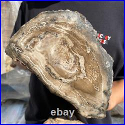 15.6lb Rare Natural petrified wood rough Wood fossil mineral specimen healing 15.6lb Rare Natural petrified wood rough Wood fossil mineral specimen healing