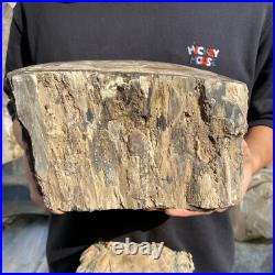 15.6lb Rare Natural petrified wood rough Wood fossil mineral specimen healing 15.6lb Rare Natural petrified wood rough Wood fossil mineral specimen healing