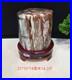 15_73LB_Natural_Petrified_wood_fossil_quartz_crystal_decoration_Mineral_specimen_01_fvyt