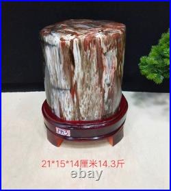 15.73LB Natural Petrified wood fossil quartz crystal decoration Mineral specimen 15.73LB Natural Petrified wood fossil quartz crystal decoration Mineral specimen