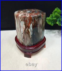 15.73LB Natural Petrified wood fossil quartz crystal decoration Mineral specimen 15.73LB Natural Petrified wood fossil quartz crystal decoration Mineral specimen