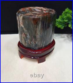 15.73LB Natural Petrified wood fossil quartz crystal decoration Mineral specimen 15.73LB Natural Petrified wood fossil quartz crystal decoration Mineral specimen