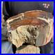 15_7lb_Rare_Natural_petrified_wood_rough_Wood_fossil_mineral_specimen_healing_01_aosf