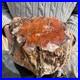 15_7lb_Rare_Natural_petrified_wood_rough_Wood_fossil_mineral_specimen_healing_01_eq