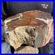 15_7lb_Rare_Natural_petrified_wood_rough_Wood_fossil_mineral_specimen_healing_01_lbr