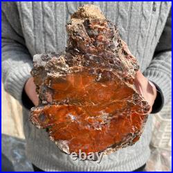 15.7lb Rare Natural petrified wood rough Wood fossil mineral specimen healing