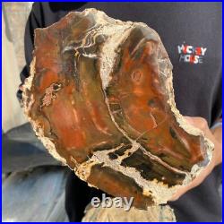15.7lb Rare Natural petrified wood rough Wood fossil mineral specimen healing 15.7lb Rare Natural petrified wood rough Wood fossil mineral specimen healing