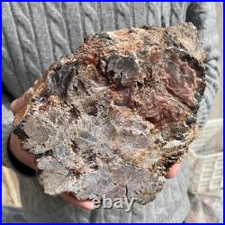 15.7lb Rare Natural petrified wood rough Wood fossil mineral specimen healing