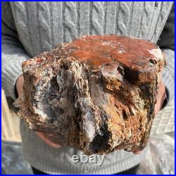 15.7lb Rare Natural petrified wood rough Wood fossil mineral specimen healing