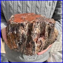 15.7lb Rare Natural petrified wood rough Wood fossil mineral specimen healing 15.7lb Rare Natural petrified wood rough Wood fossil mineral specimen healing