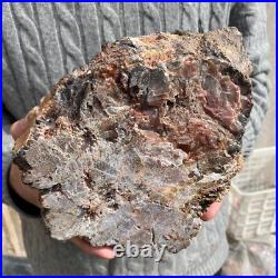 15.7lb Rare Natural petrified wood rough Wood fossil mineral specimen healing