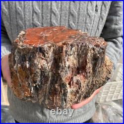 15.7lb Rare Natural petrified wood rough Wood fossil mineral specimen healing