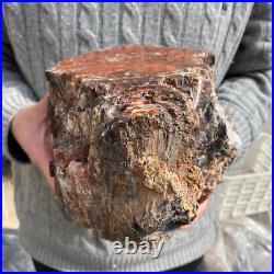 15.7lb Rare Natural petrified wood rough Wood fossil mineral specimen healing