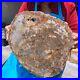 15_84LB_Large_Natural_Petrified_Wood_Crystal_Fossil_Slice_Shape_Specimen_Healing_01_vq