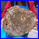 15_84LB_Natural_Petrified_Wood_Fossil_Crystal_Polished_Slice_Madagascar_1122_01_rwx