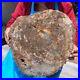 15_84LB_Natural_Petrified_Wood_Slice_Real_Authentic_Piece_History_Fossil_661_01_wvq