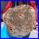 15_84LB_Natural_petrified_wood_fossil_crystal_polished_slice_Madagascar_1122_01_dzu