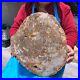 15_84LB_Natural_petrified_wood_fossil_crystal_polished_slice_Madagascar_1122_01_miz