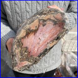 15.8LB Natural petrified wood rough Wood fossil mineral specimen healing energy 15.8LB Natural petrified wood rough Wood fossil mineral specimen healing energy